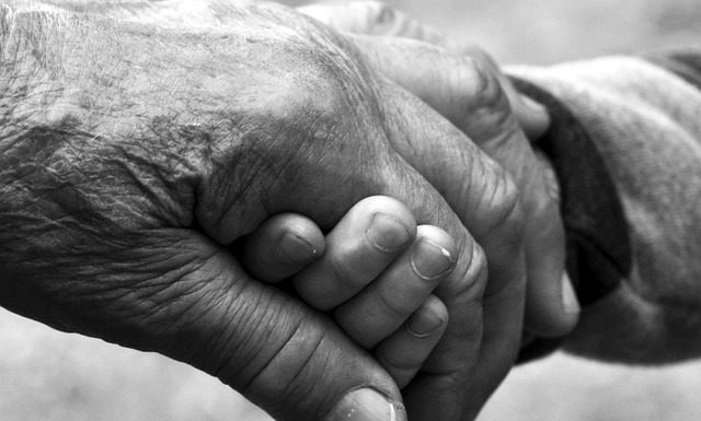 Devenir des « Aînés »