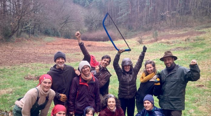 Les Assises Dehors à Grain&Sens